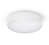 Amica LED - Biela - Výkon: 53 W, Svietivosť: 5420 lm, Rozmery: 595 x 80 mm, Priemer: 595 mm